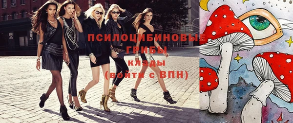 МДПВ Алексин