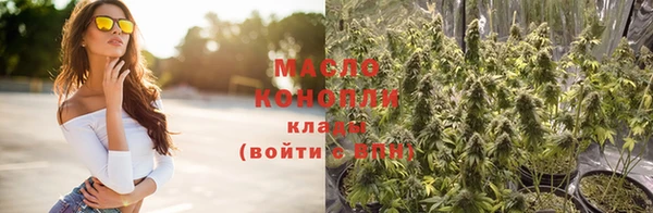 шишки Няндома