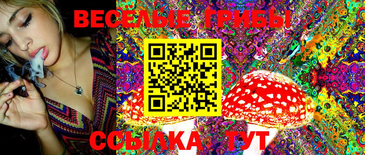 где купить наркоту  Галлюциногенные грибы Psilocybe  Галлюциногенные грибы Magic Shrooms  Вход с VPN  Шатура 