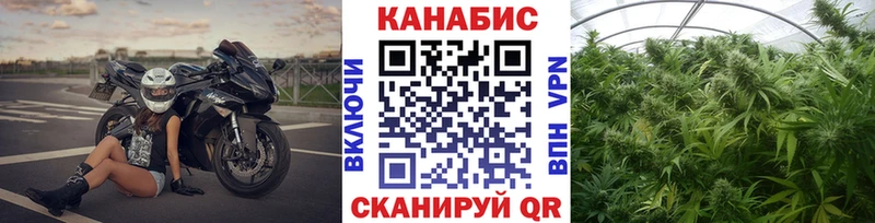 МАРИХУАНА гибрид  как найти закладки  Шатура 